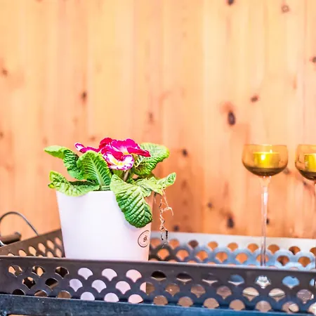 Reinskopf-4 By Interhome Апартаменты *