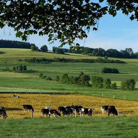 Reinskopf-4 By Interhome Schonecken