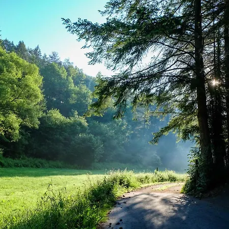 Апартаменты Reinskopf-4 By Interhome