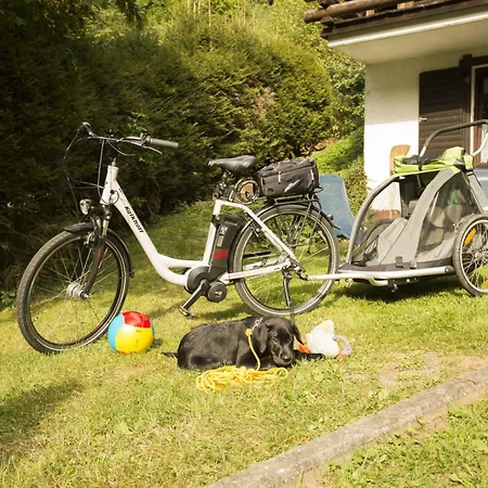 Reinskopf-4 By Interhome Апартаменты Schonecken