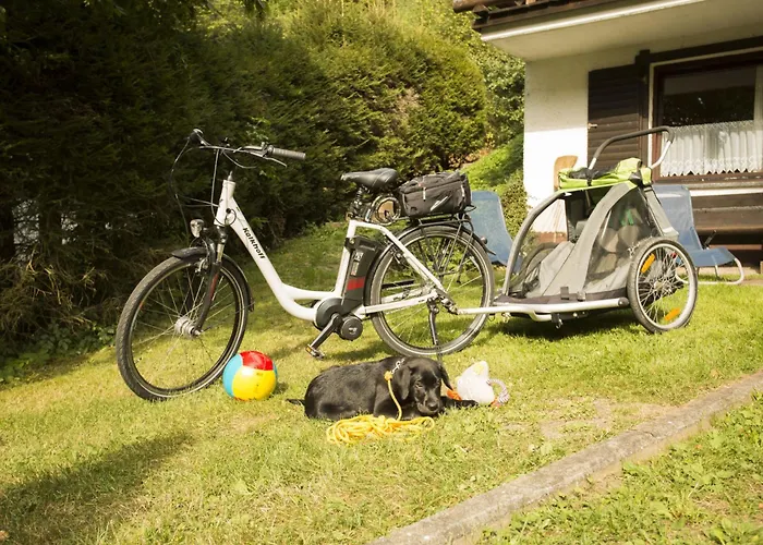 Reinskopf-4 By Interhome 아파트 Schönecken